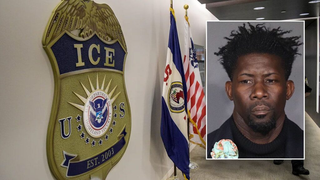 Unauthorized Immigrant Registers to Vote in Democratic State