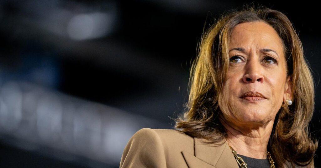 Harris Critiques Biden's Decision to Run Again, Calls for Collective Input