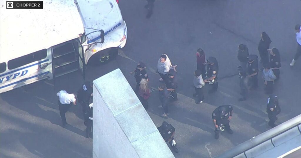 Dozens Arrested, Including Officials, at Anti-ICE Protest in New York