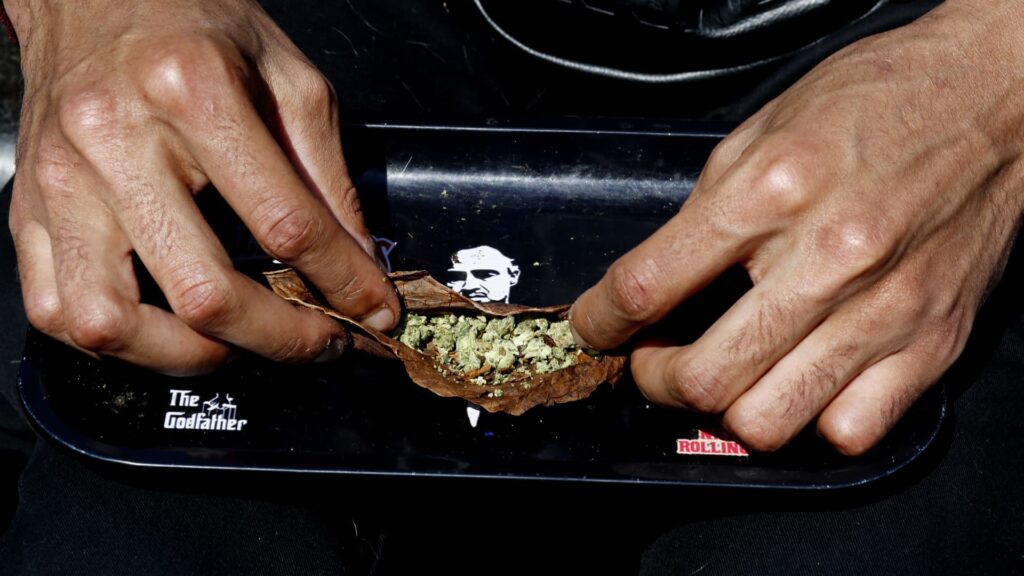 Trump's Influence Sparks Optimism for Cannabis Market Surge