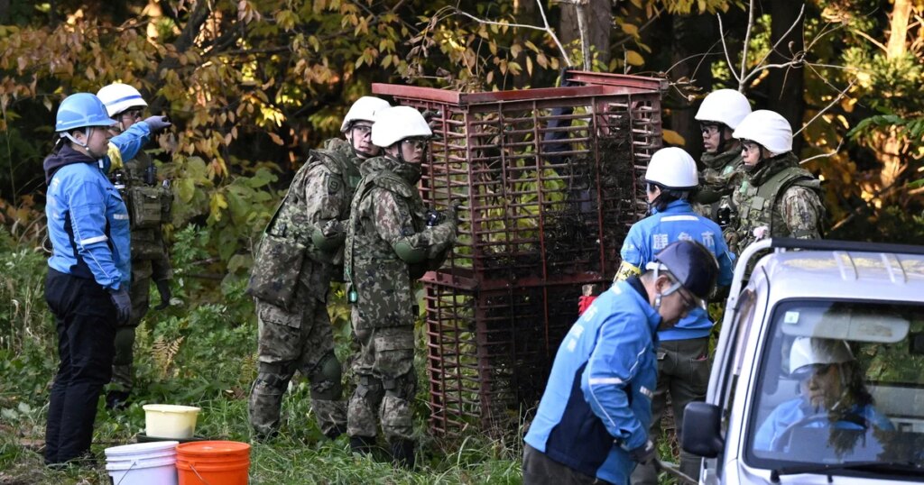 Japan Deploys Troops to Address Rising Bear Attacks Japan Deploys Troops to Address Rising Bear Attacks