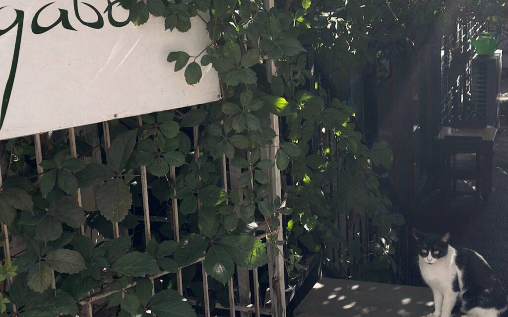 Exploring Mesopotamian Heritage Through Labor and Justice in Chickpea Agriculture Exploring Mesopotamian Heritage Through Labor and Justice in Chickpea Agriculture