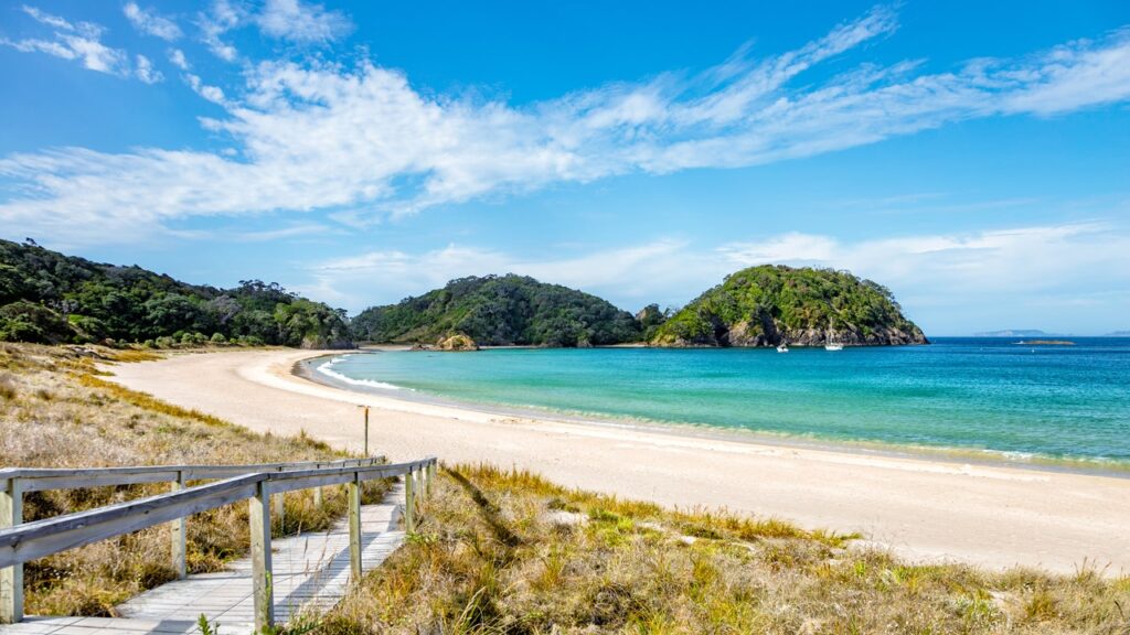 New Zealand Eases Visa Rules, Sees 72% Increase in US Applications