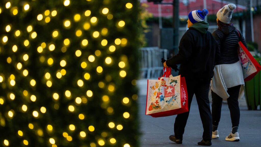 Holiday Sales Surge Despite Gloomy Consumer Confidence