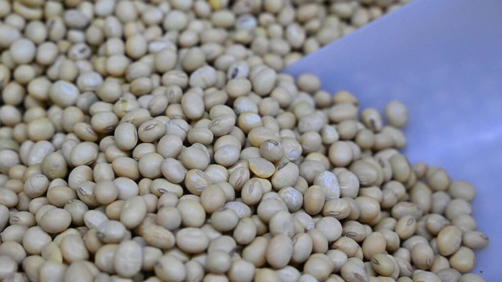 US-China Soybean Trade Highlights Food Security Goals; Goldman Sachs Involved