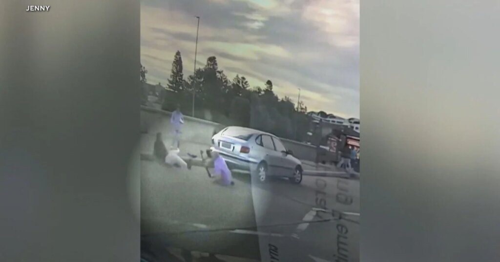 Video Captures Couple's Attempt to Intervene Before Bondi Beach Shooting