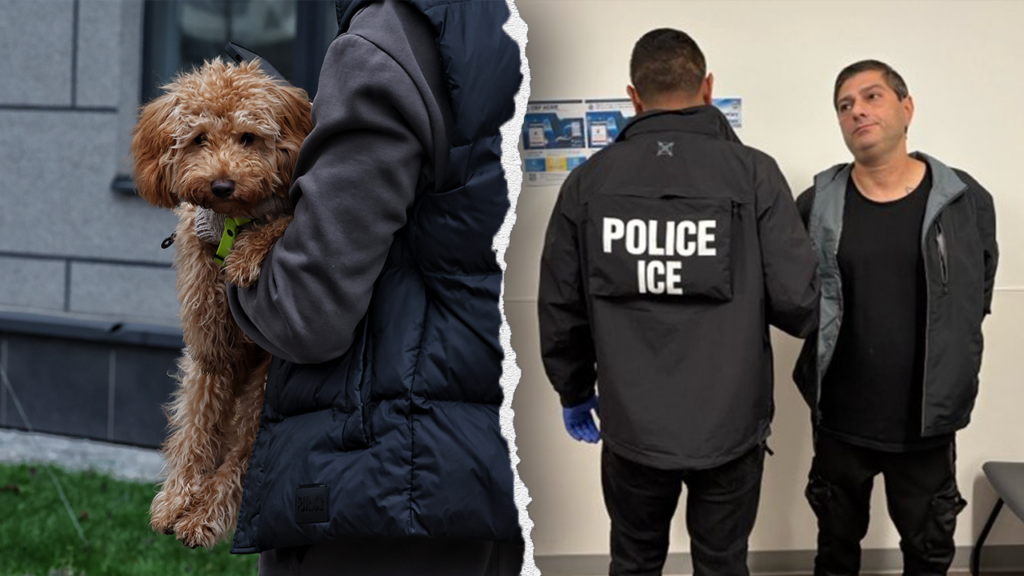 ICE Apprehends Azerbaijani Immigrant with Multiple Convictions ICE Apprehends Azerbaijani Immigrant with Multiple Convictions