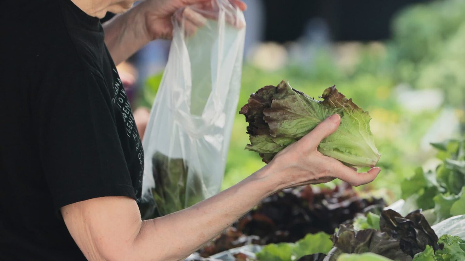 Cyclospora Concerns Drive Down Salad Sales Among Consumers