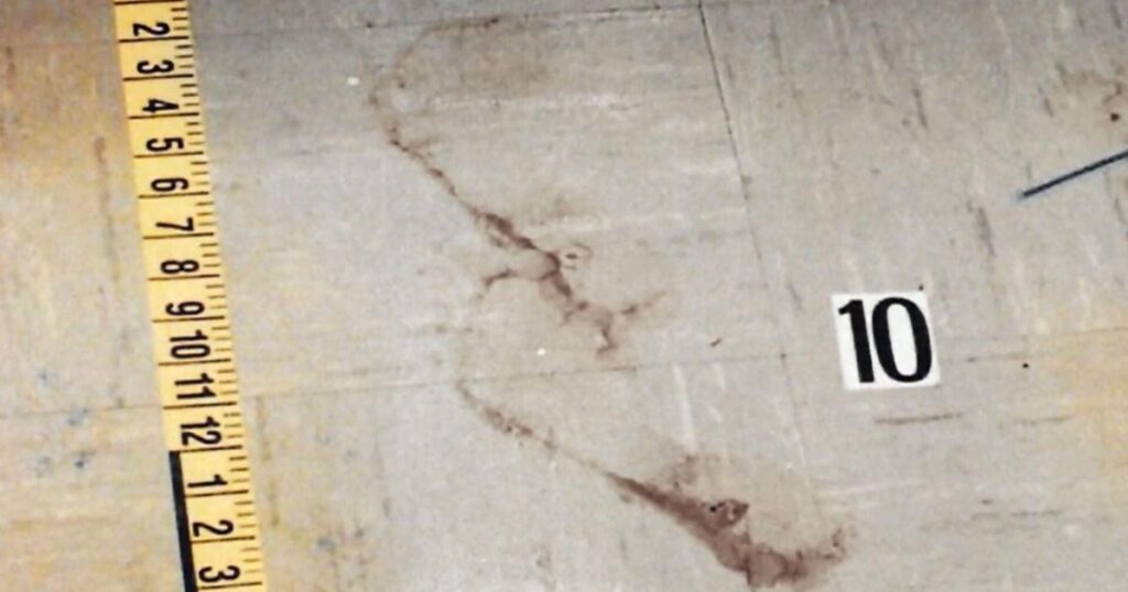 Bare Footprints and DNA Identify Suspect in 1993 Minneapolis Murder Bare Footprints and DNA Identify Suspect in 1993 Minneapolis Murder