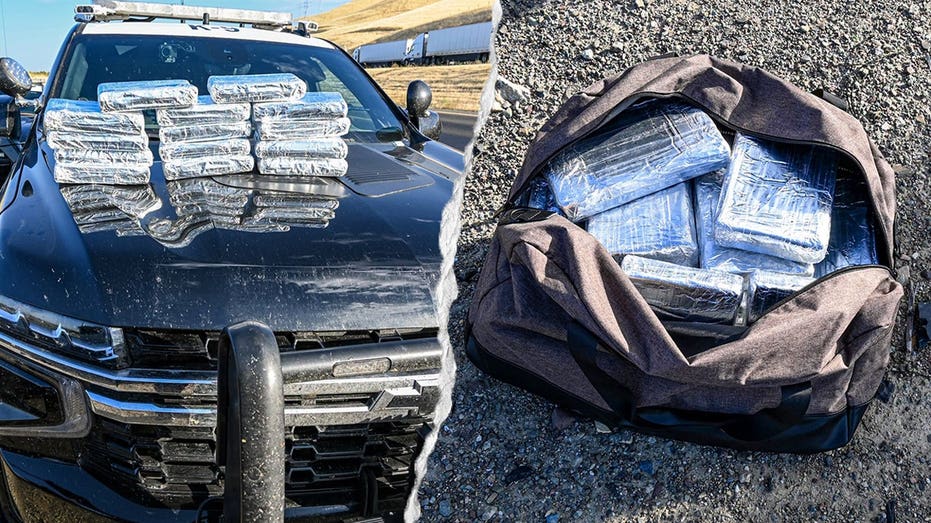 California Traffic Stop Leads to Seizure of $817,200 in Suspected Cocaine California Traffic Stop Leads to Seizure of $817,200 in Suspected Cocaine