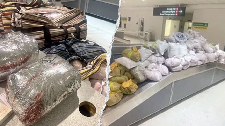 CBP Seizes 847 Pounds of Khat in 12 Suitcases at Maryland Airport CBP Seizes 847 Pounds of Khat in 12 Suitcases at Maryland Airport