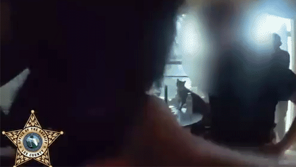 Florida Father Charged After Allegedly Killing Kittens to Punish Daughter Florida Father Charged After Allegedly Killing Kittens to Punish Daughter