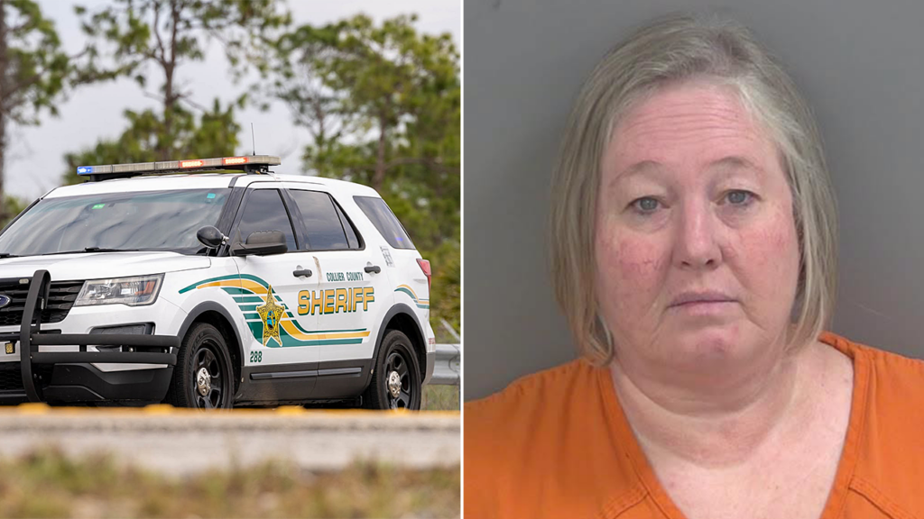 Florida Woman Charged with Grand Theft for Faking Cancer to Scam Over 200 Victims Florida Woman Charged with Grand Theft for Faking Cancer to Scam Over 200 Victims