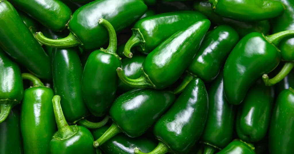 Salmonella Outbreak Linked to Meat Products Containing Jalapeños, USDA Reports Salmonella Outbreak Linked to Meat Products Containing Jalapeños, USDA Reports