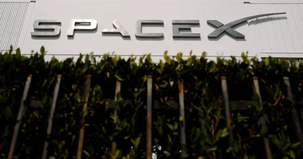 SpaceX Stock Declines Despite Strong Revenue Growth
