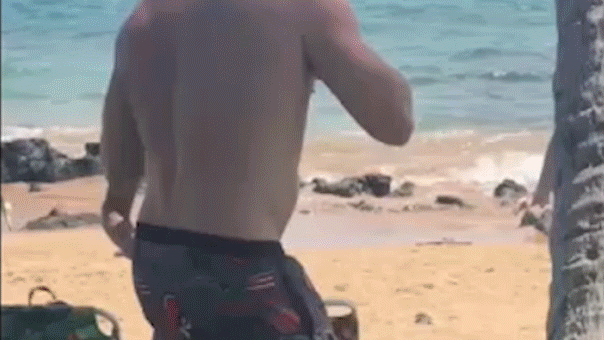 Hawaii House Candidate Faces Felony Threat Charges After Maui Beach Fight Hawaii House Candidate Faces Felony Threat Charges After Maui Beach Fight