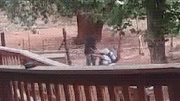 New York Mother Survives Knife Attack During Arizona Hiking Trip New York Mother Survives Knife Attack During Arizona Hiking Trip