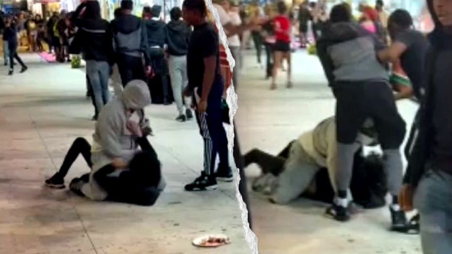 Seven Arrested After Wisconsin State Fair Brawl During Closing Hours Seven Arrested After Wisconsin State Fair Brawl During Closing Hours