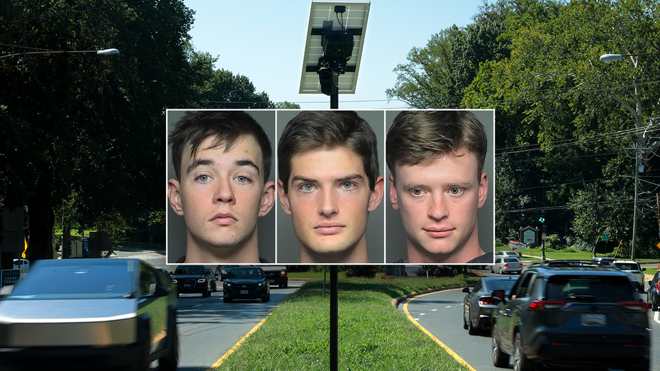 Three South Carolina Teens Accused of Destroying Flock Camera in Battery Fire Three South Carolina Teens Accused of Destroying Flock Camera in Battery Fire