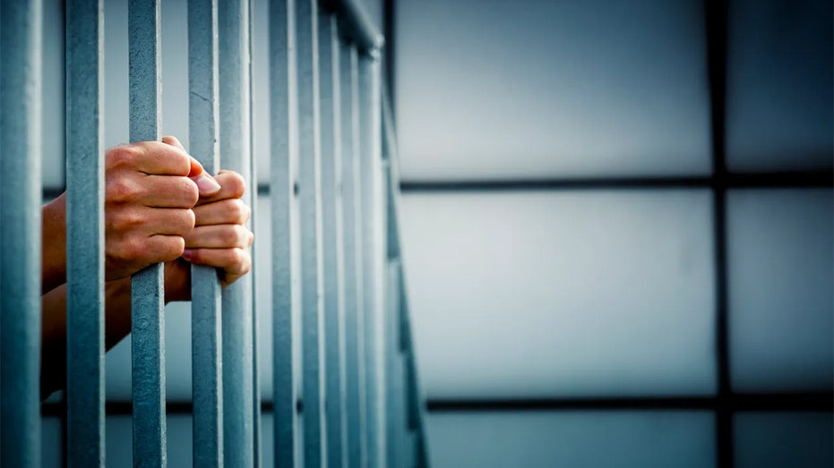Chinese Nationals Accused of Smuggling Synthetic Drugs Into U.S. Prisons Chinese Nationals Accused of Smuggling Synthetic Drugs Into U.S. Prisons