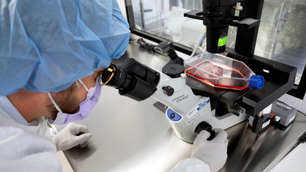 AI Enhances Melanoma Treatment and Drug Repurposing in Healthcare
