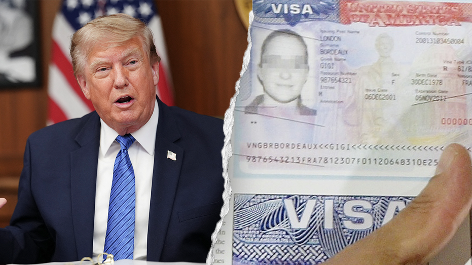 State Department Revokes More Than 250,000 Visas in Immigration Vetting Crackdown State Department Revokes More Than 250,000 Visas in Immigration Vetting Crackdown