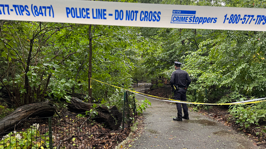 Woman Found Dead With Trauma in Central Park as NYPD Investigates Woman Found Dead With Trauma in Central Park as NYPD Investigates
