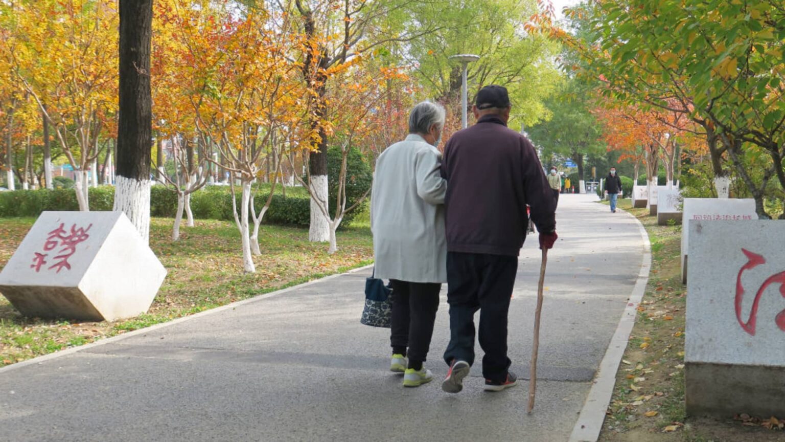 Aging Western Populations Expected to Challenge Public Finances by 2029