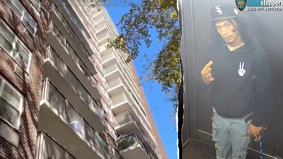 Bronx Mother Dies After Balcony Fall With Baby as Police Seek Suspect Bronx Mother Dies After Balcony Fall With Baby as Police Seek Suspect