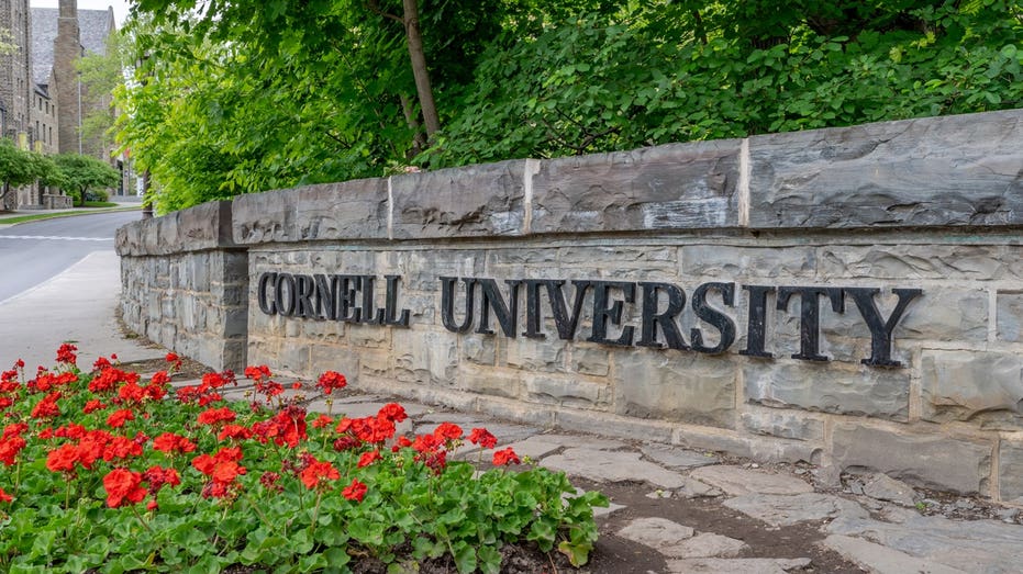 Cornell Sexual Assault Case Renews Debate Over New York Intoxication Consent Law Cornell Sexual Assault Case Renews Debate Over New York Intoxication Consent Law