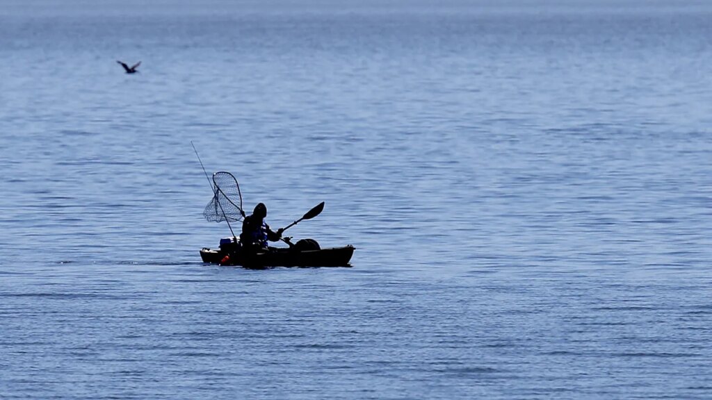 Kayaker Bitten Twice by Shark Near Paradise Cove in Malibu