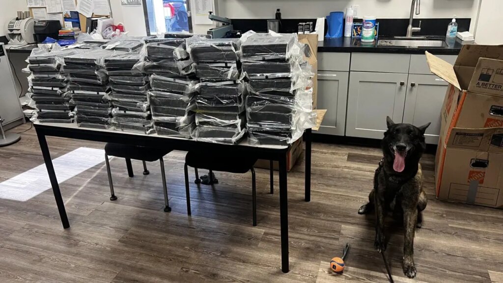 Police K-9 Discovers 440 Pounds of Cocaine During Traffic Stop