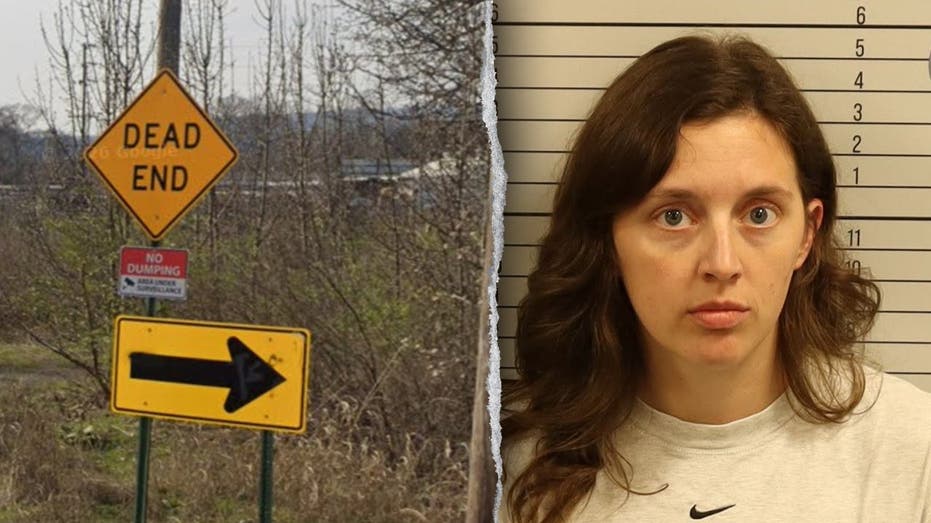 Tennessee Mother Faces DUI and Child Neglect Charges After Car Plunges Off Cliff Tennessee Mother Faces DUI and Child Neglect Charges After Car Plunges Off Cliff