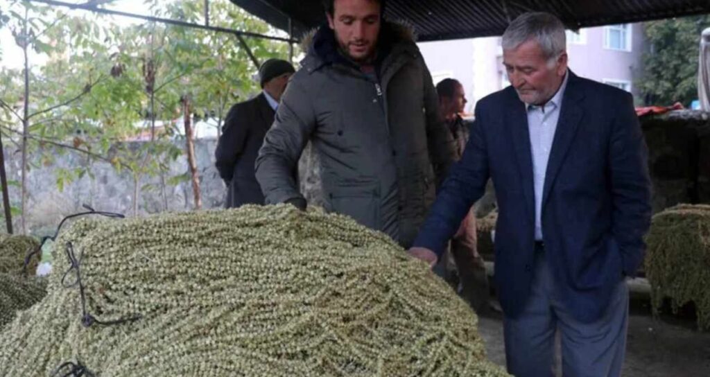 Record Prices for Fresh and Dried Produce Amid Challenging Harvest Conditions